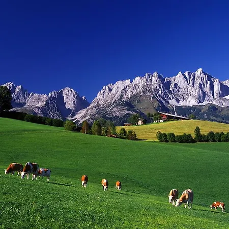 Gasthof Gasthof Badhaus