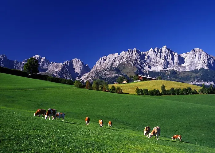 Guest house Gasthof Badhaus